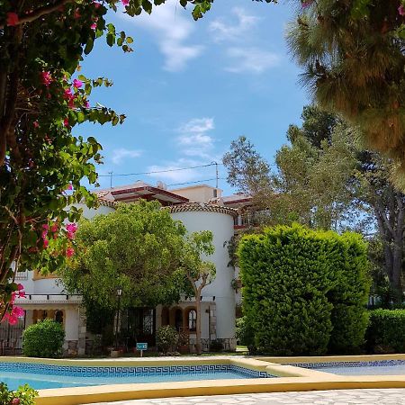 شقة دينايا  في Apartamento Mr Racona. 41 المظهر الخارجي الصورة